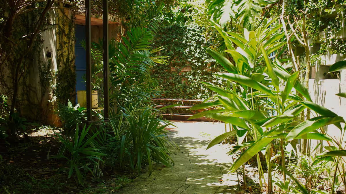 exclusive tropical loft in Panama City 01