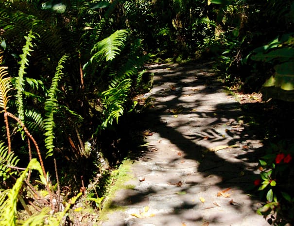 Highland eco‑cabin in Panama - cloudforest with panoramic mountain views (1)