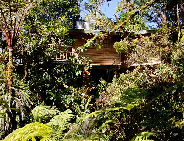 Highland eco‑cabin in Panama - cloudforest with panoramic mountain views (1)