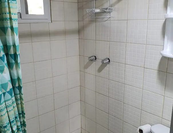 Crystal Cabin Cerro Azul surrounded by lush greenery 01