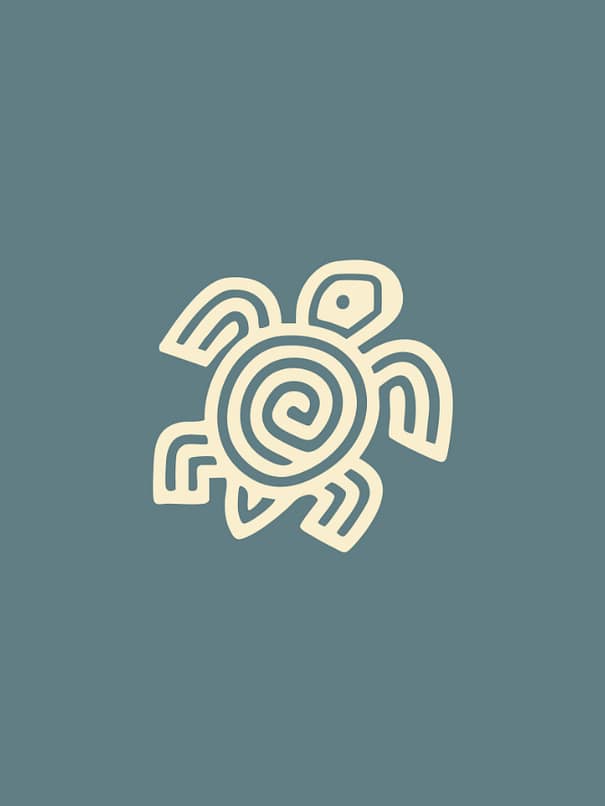 Carries home within – introspective escapes Turtle- Bannaba Stays